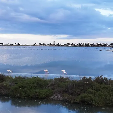 Perdas Apartament Quartu SantʼElena