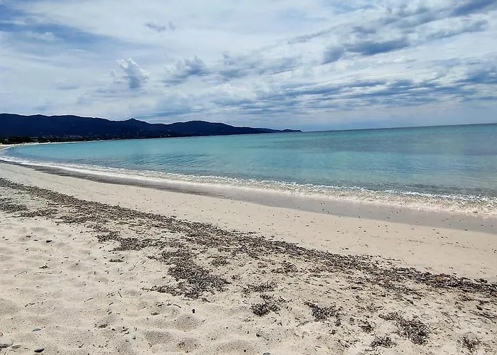 Perdas 夸尔图-圣埃莱娜